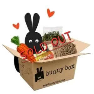 Mystery Bunny Box