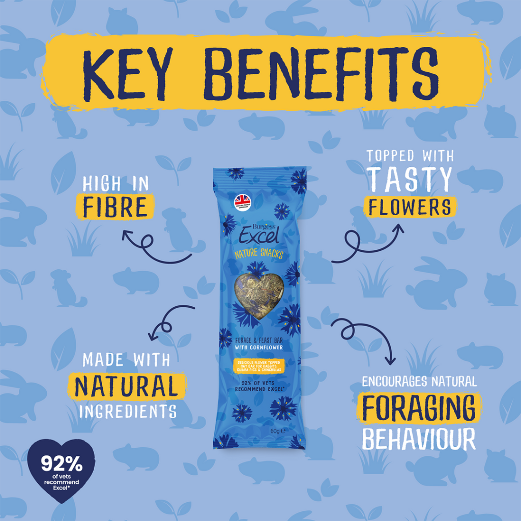 Excel forage feast bar with cornflower 60g get bunny box