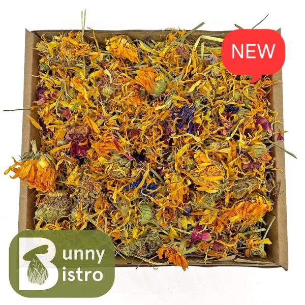 Natural Nibbles Flower Forage Tray